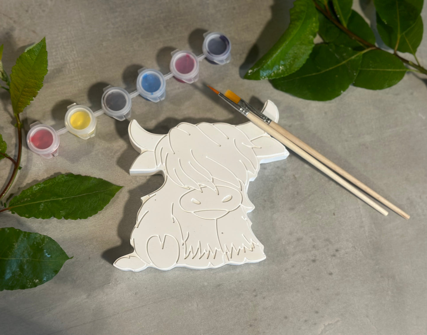 Paint Your Own Highland Cow