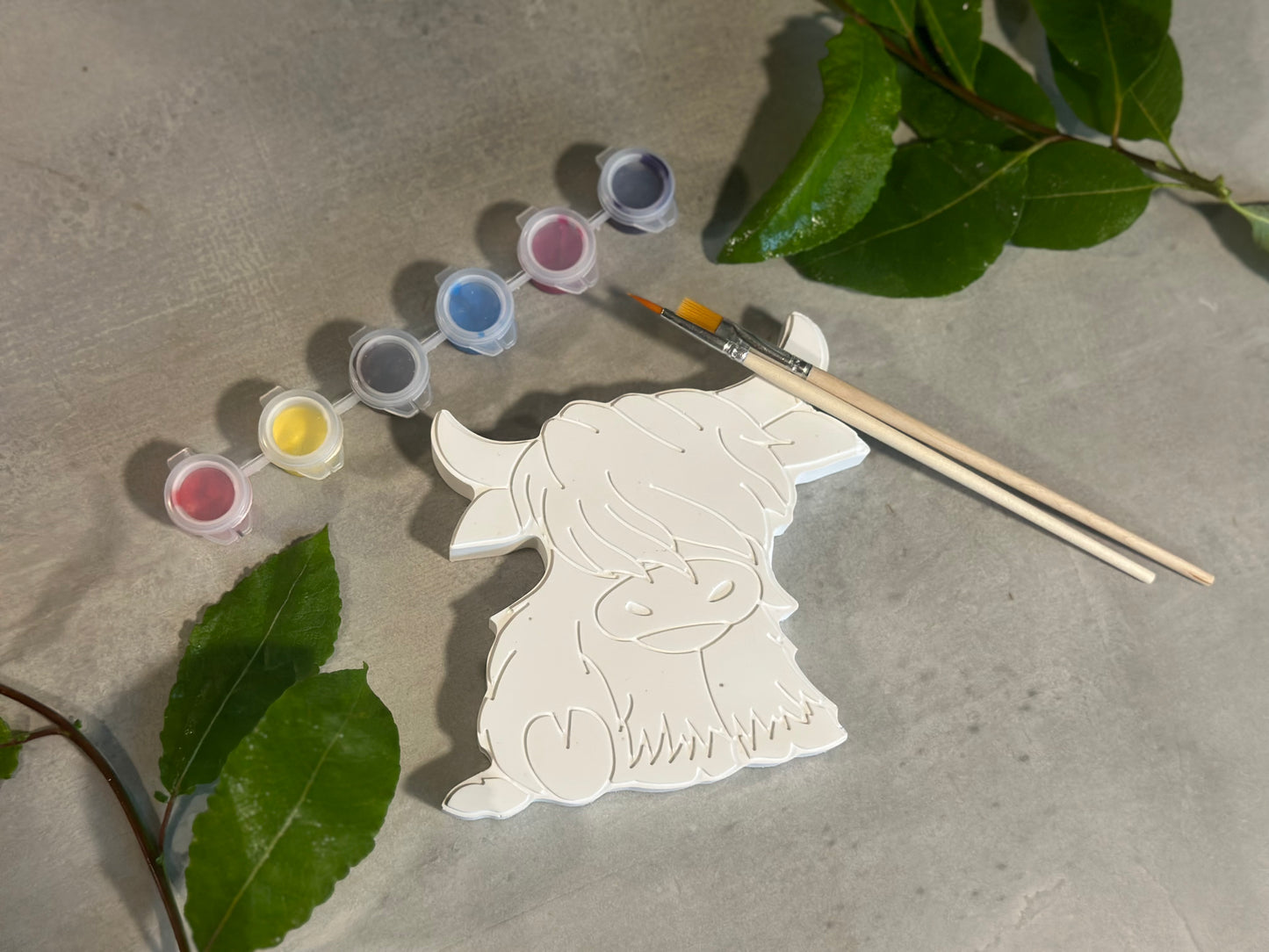 Paint Your Own Highland Cow