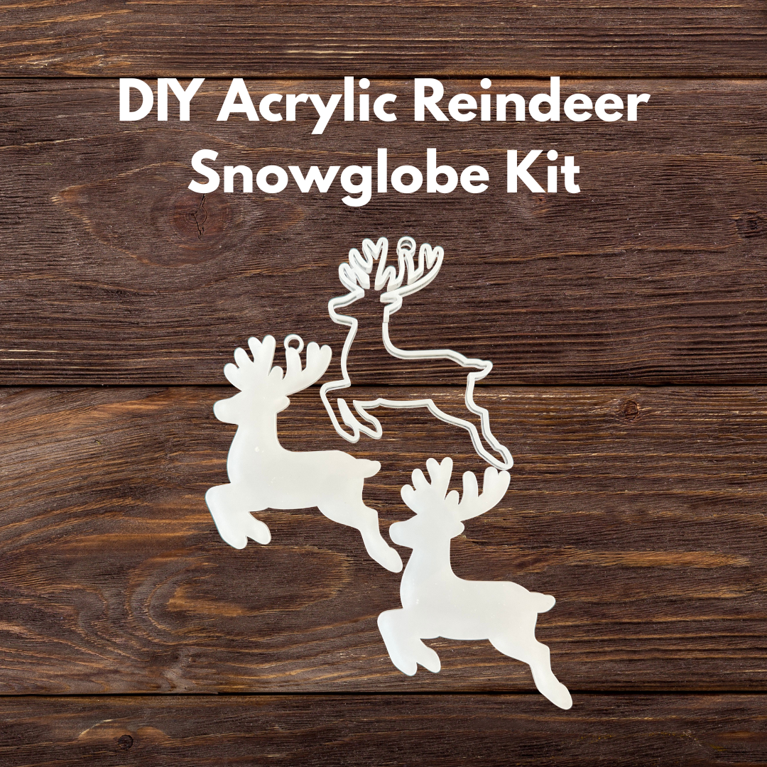 DIY Acrylic Reindeer Kit