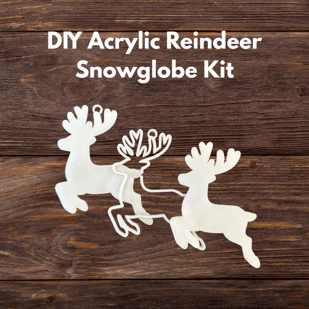 DIY Acrylic Reindeer Kit